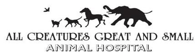 All Creatures Great & Small Animal Hospital