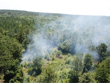 Prescribed burn