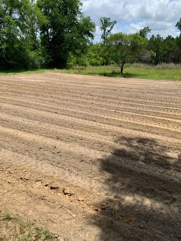 Disked field