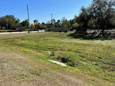 Freshly cut grass across a large community property.