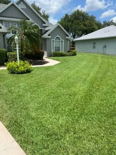Healthy green residential lawn surrounding a landscaped front entrance.
