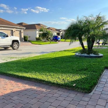 Freshly maintained corner lawn with a circular palm-tree landscape bed.