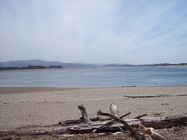The Pacific Northwest Coastline.