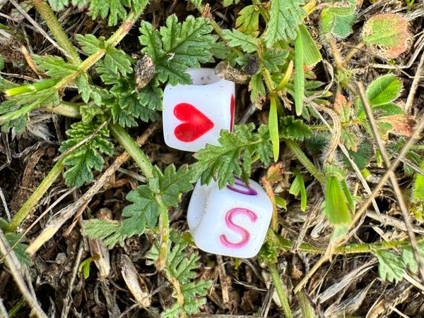 Dice in grass: one shows a heart, the other an S