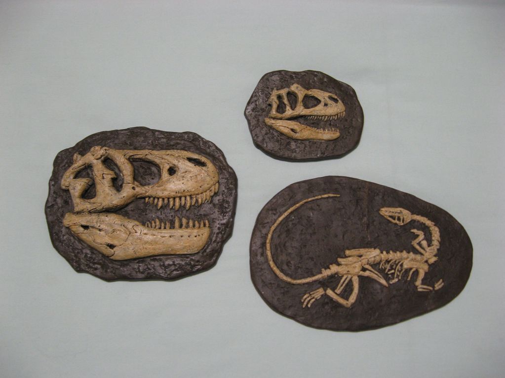 1/10 scale Replica Fossils