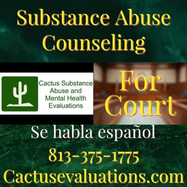 Substance Abuse Counseling near Clearwater Florida
Substance Abuse Counseling Clearwater Florida
