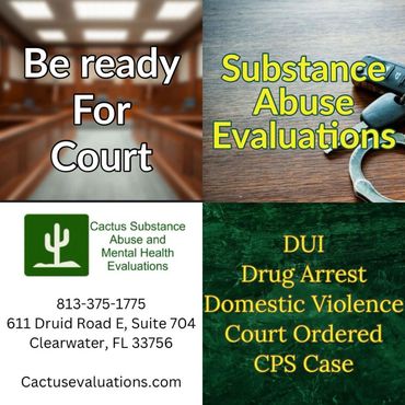 Substance Abuse Evaluation Clearwater 
Florida, Largo Florida, St. Petersburg Florida, Dunedin FL