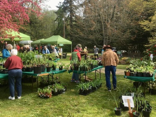 People browsing plants at an outdoor garden market under green tents.