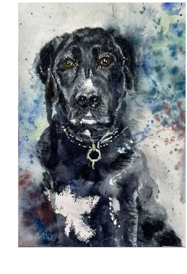 Bradley original watercolor portrait