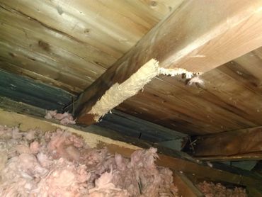 Squirrel Damage to Roof and Attic Spaces.  Making nests in the insulation with leaves and twings.