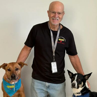 Man kneeling with two therapy dogs wearing blue bandanas indoors.
