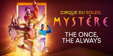 Mystere Cirque du Soleil at Treasure Island