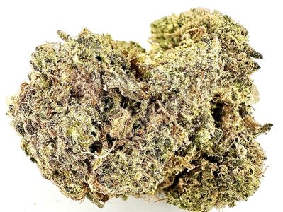 Close-up of a cannabis bud with trichomes and orange hairs.