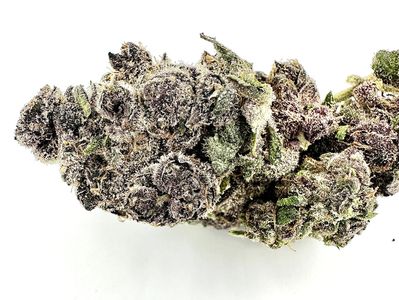 Close-up of a dense cannabis bud with purple and green hues.
