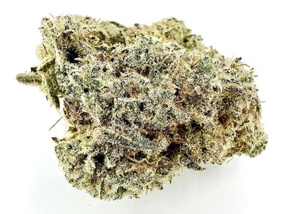 Close-up of a cannabis bud.