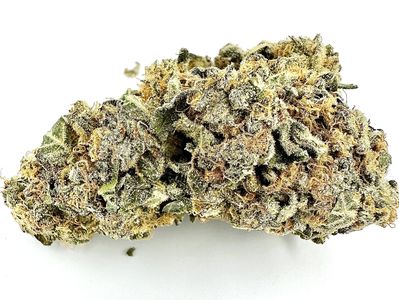 Close-up of dried cannabis buds.
