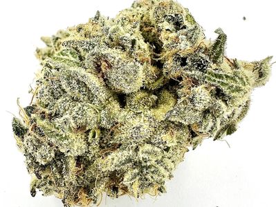 Close-up of a dried cannabis bud.
