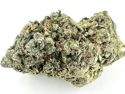Close-up of a cannabis bud.