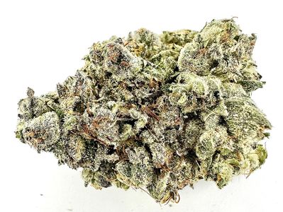 Close-up of a dense cannabis bud covered in trichomes.