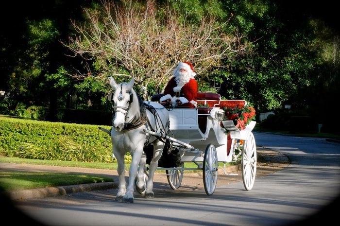 2025 Holiday Christmas Light Tour in River Oaks- Houston, Tx. Call to book your ride 713-304-4179.