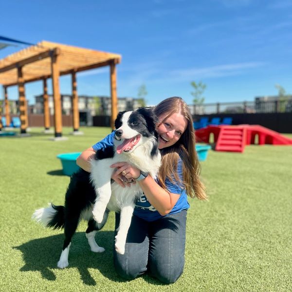Dog and team member playing at Idaho Pups and Ales