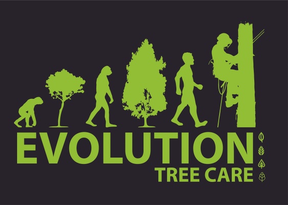 Evolution Tree Care