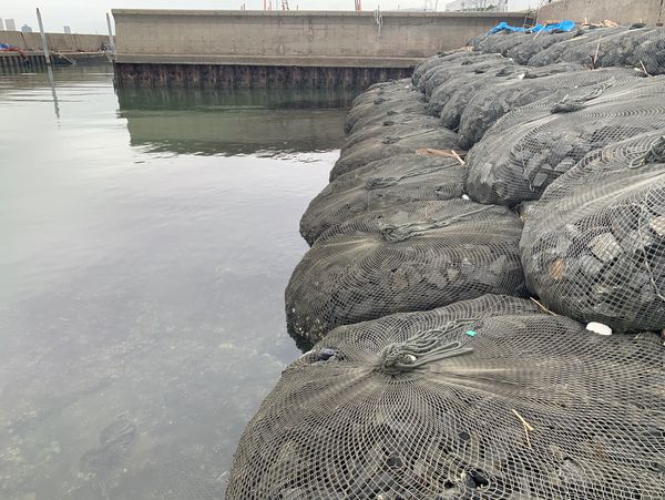 Kyowa® Bags being used as a coastal structure