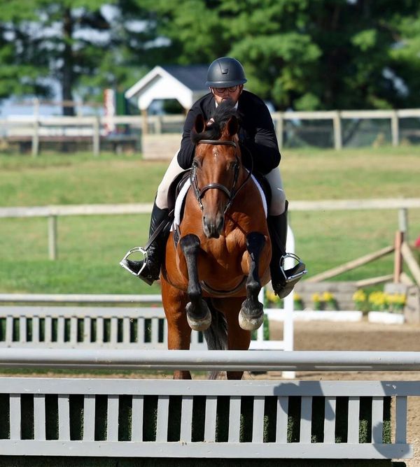 Equestrian rider jumping a horse over an obstacle in a competition.