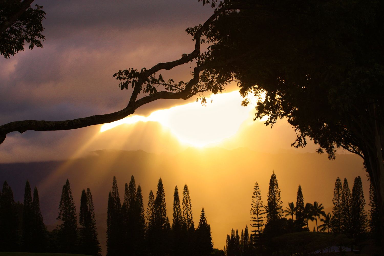 The end of a perfect day
 Princeville Kauai Hawaii