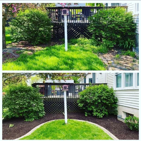 A picture of a yard with a basketball hoop