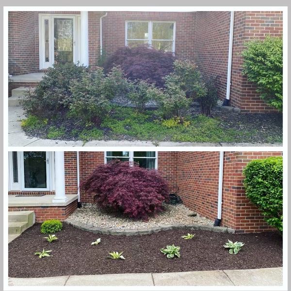 Two pictures of a front yard and landscaping