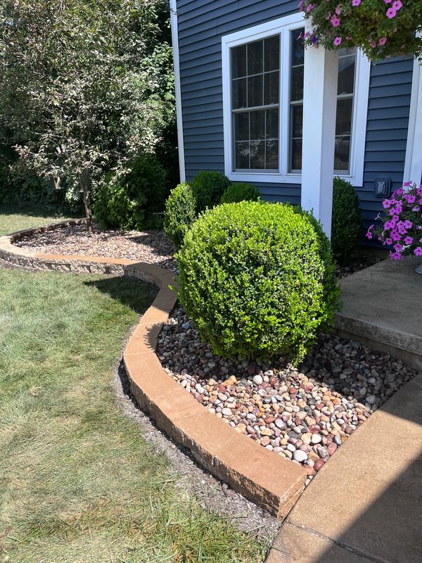 A house with a front yard and landscaping