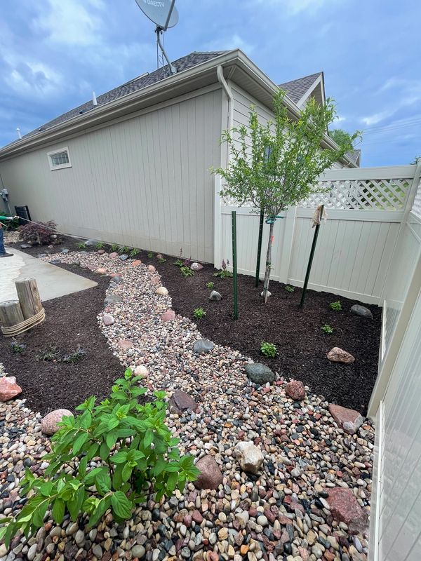 A garden with rocks, plants, and a satellite dish