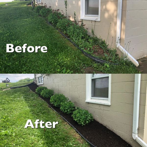 A before and after picture of a garden