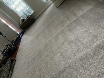 Clean, freshly vacuumed carpet in a bright living room with minimal furniture.