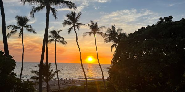 Sunset over the ocean with palm trees.