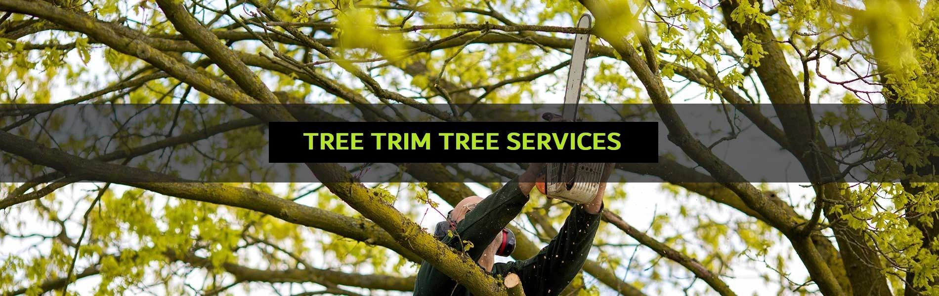 Tree service