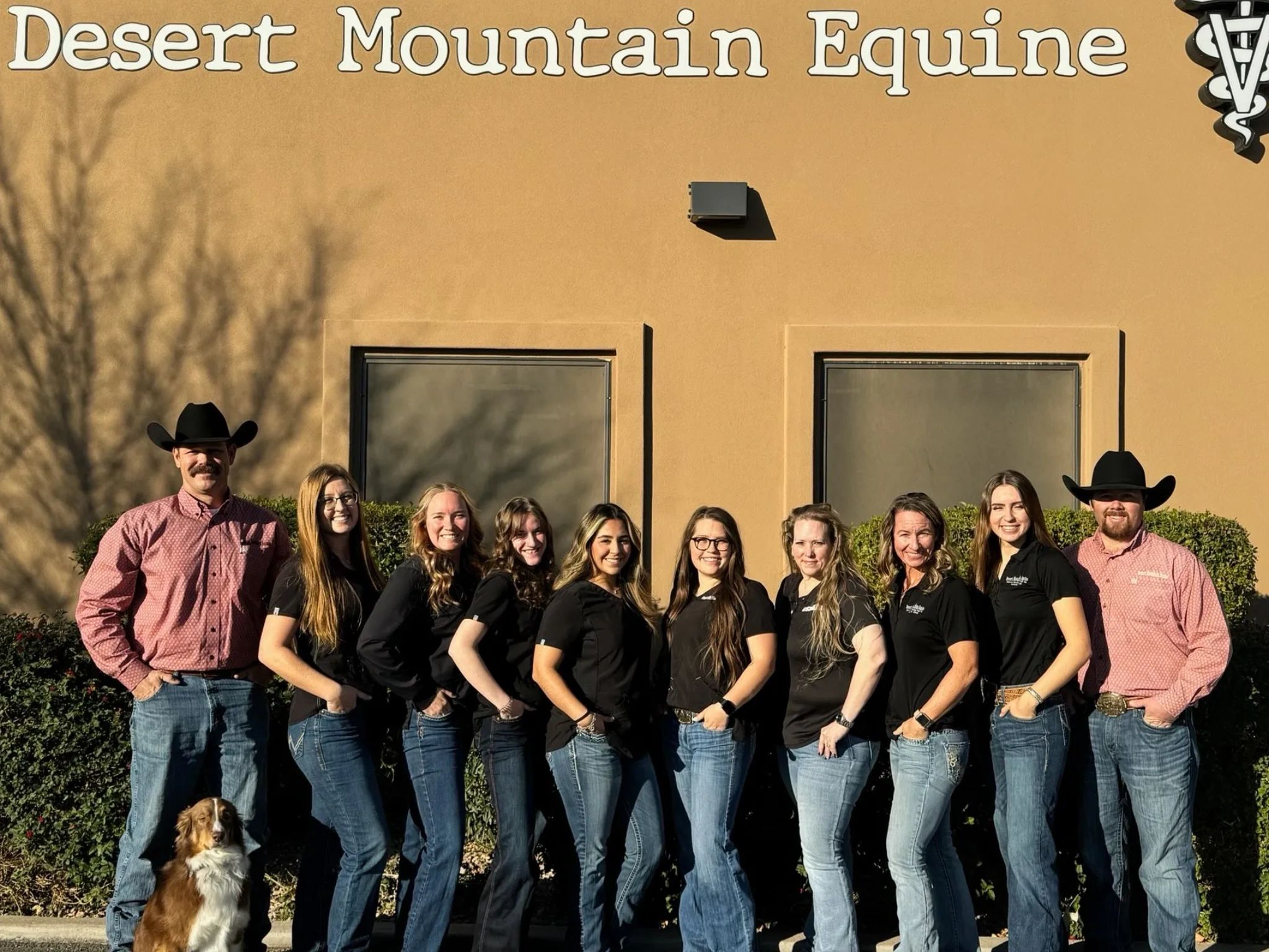 Desert Mountain Equine Equine Services Veterinarian Emergency Vet