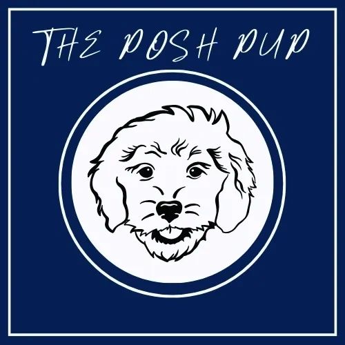 The Posh Pup Acton Dog Daycare Pet Boutique