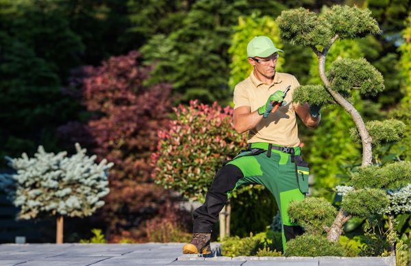 L and J Landscaping LLC