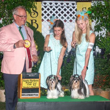 AKC Juniors, AKC, Showmanship, Junior showmanship, Best Junior, Biewer Terrier, biewer puppy, winner