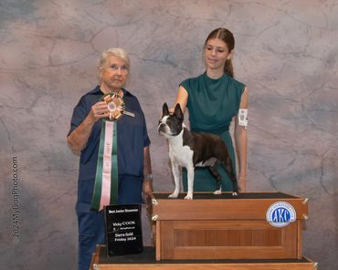 AKC Juniors, AKC, Showmanship, Junior showmanship, Best Junior, Boston Terrier