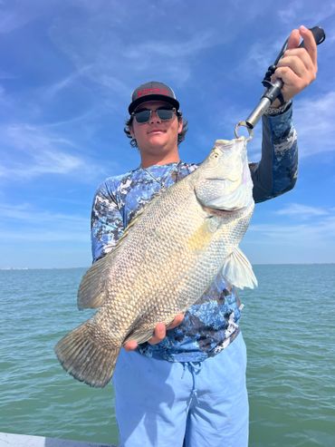 Man proudly holding a large fish against a clear blue sky and water.