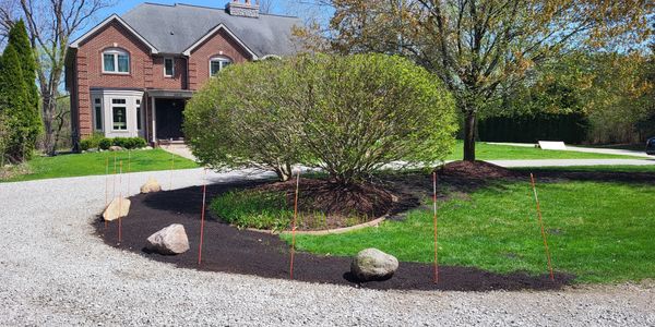 Lawn maintenance in Novi, MI. Turf Repair and Overseeding.