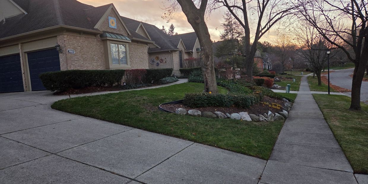 Lawn mowing services in Novi, MI. Lush green grass with edged sidewlk. Lawn maintenance services.