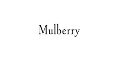 mulberry handbag purse shoes