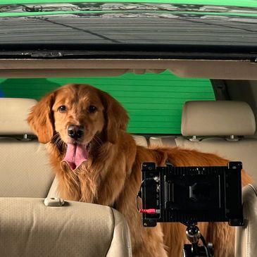 On-set animal handling and training support for film, television, and commercial productions.