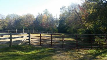 A metal gate and wooden fence open to a sunlit dirt path surrounded by trees.