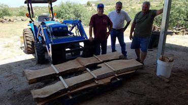 Alligator Juniper Slab