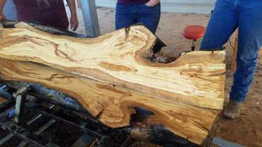 Olive Wood Slab